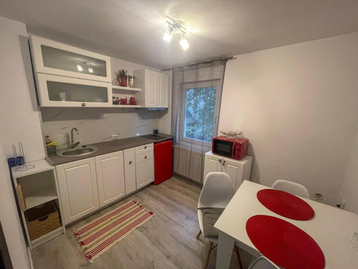 Buzz Apartment Cluj-Napoca Ngoại thất bức ảnh
