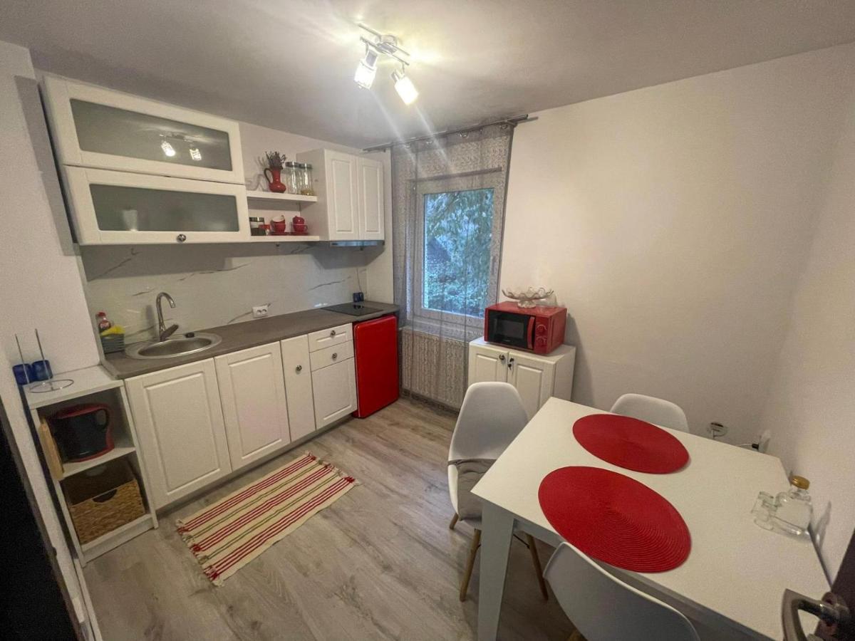 Buzz Apartment Cluj-Napoca Ngoại thất bức ảnh