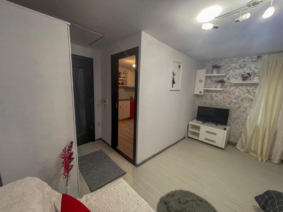 Buzz Apartment Cluj-Napoca Ngoại thất bức ảnh