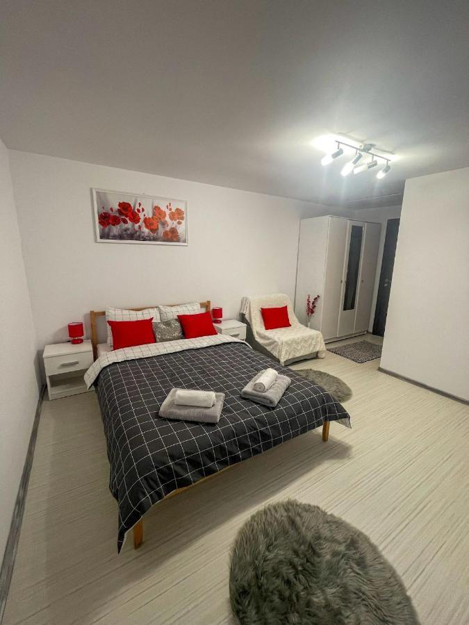 Buzz Apartment Cluj-Napoca Ngoại thất bức ảnh