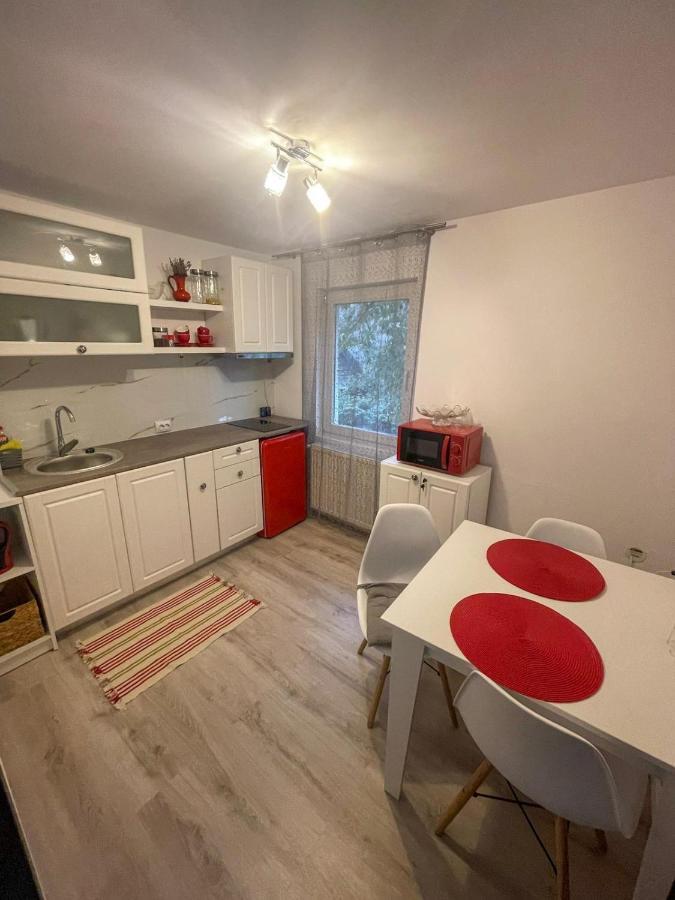 Buzz Apartment Cluj-Napoca Ngoại thất bức ảnh